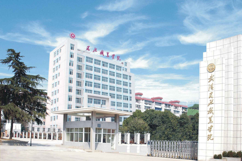 武汉职业学校排名_武汉职业技术学院