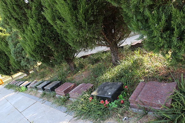 太子峪陵园树葬什么价位？在太子峪陵园买个树葬墓地价格多少钱？