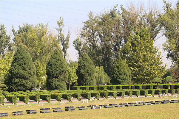 北京市朝阳区有树葬墓地吗？在朝阳区买个树葬墓地价格多少？