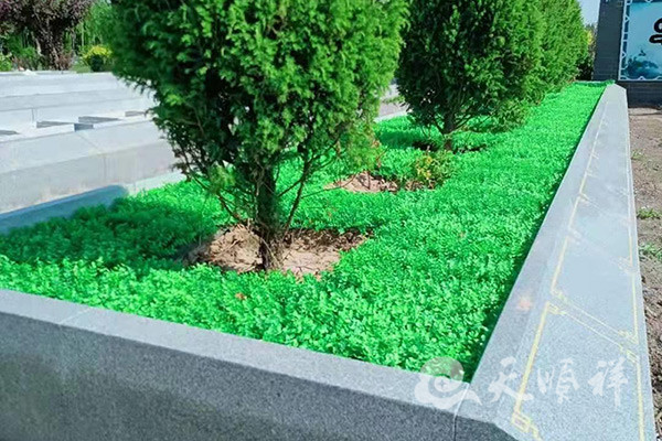 树葬绿化