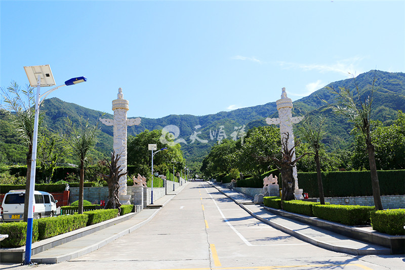 天山陵园道路绿化景观