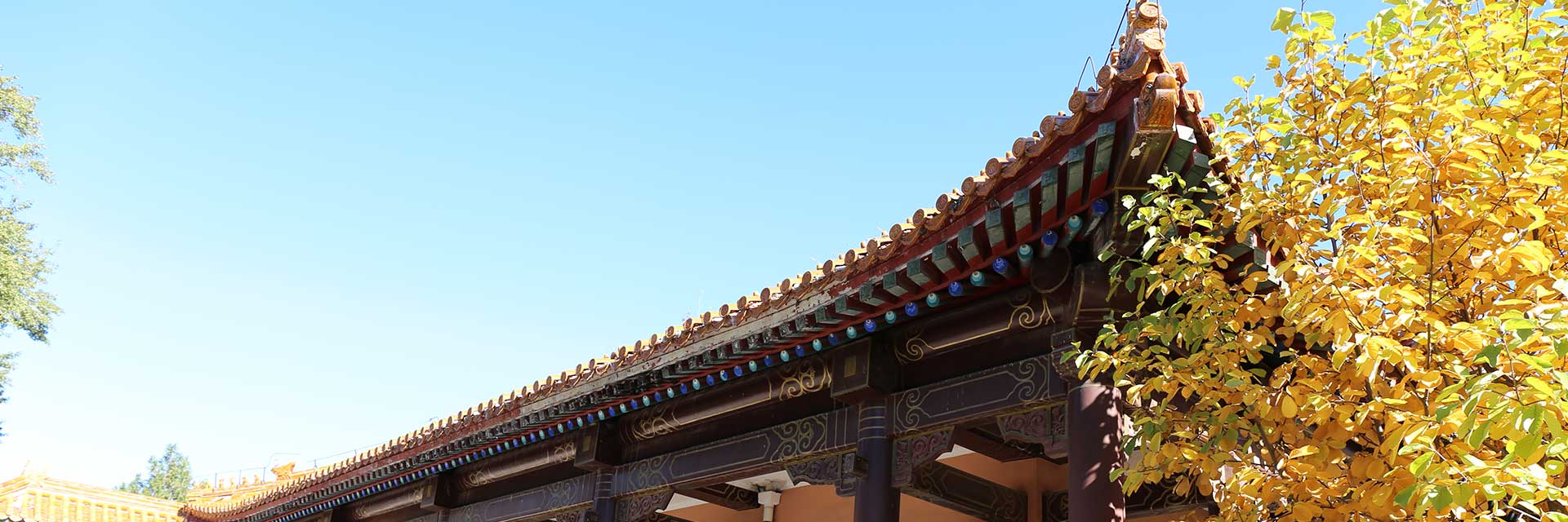 лǹ