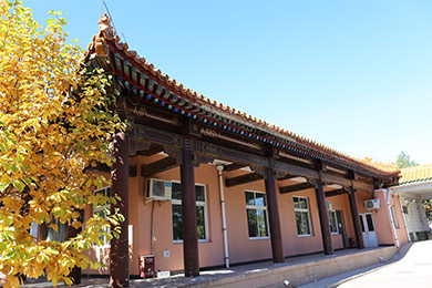 лǹ