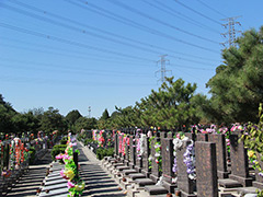 北京朝阳陵园在北京公墓排行榜中第几？陵园有树葬墓地吗？价格？