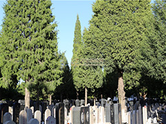 通惠陵园买墓地需要预约吗？通惠陵园墓地到期续费怎么办理？