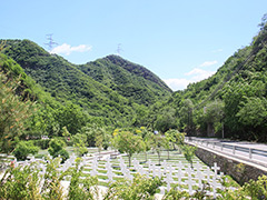 北京市民政局批准的合法墓地有哪些？北京合法的33家墓地名单