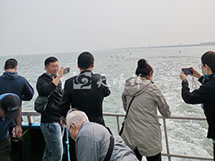北京海葬骨灰撒哪个海里？