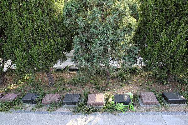 北京合法树葬陵园有几处？太子峪陵园有树葬吗价格多少？