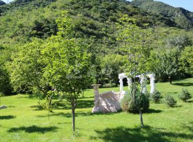 树葬墓区绿化