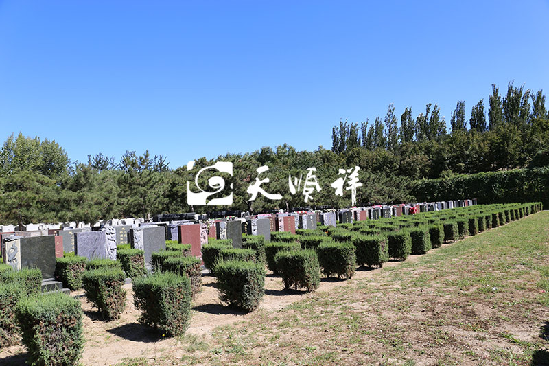 福田公墓墓区景观