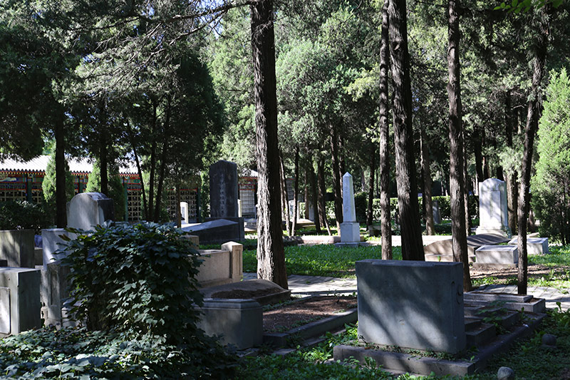 万安公墓墓区景观