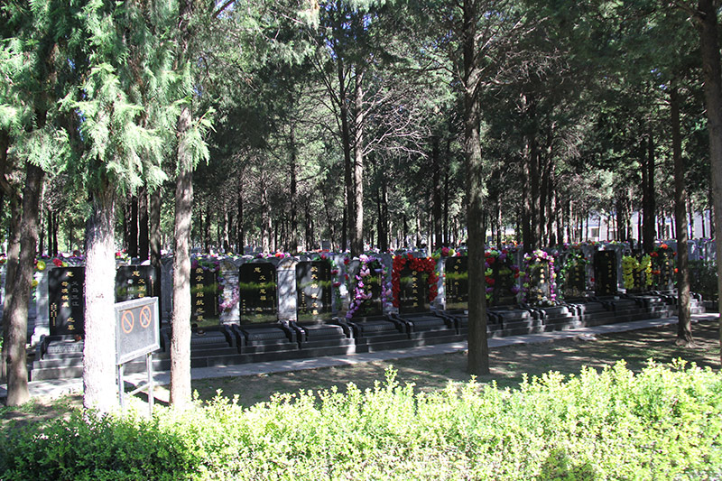 外侨公墓墓区景观