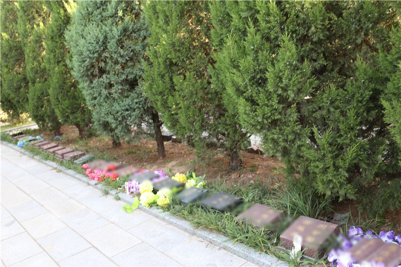 太子峪陵园树葬展示