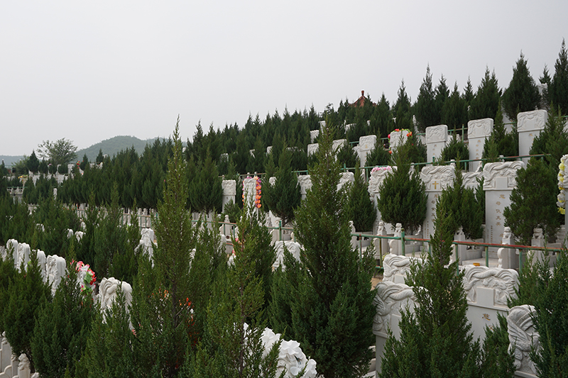 北京墓地环境展示