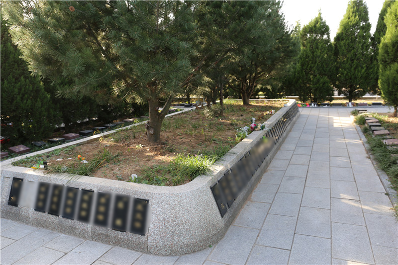 北京墓地生态葬展示