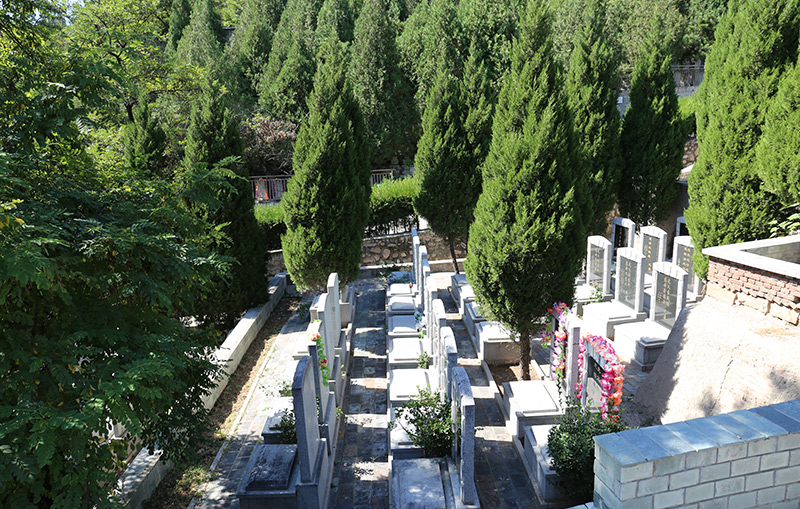 温泉墓园墓区景观
