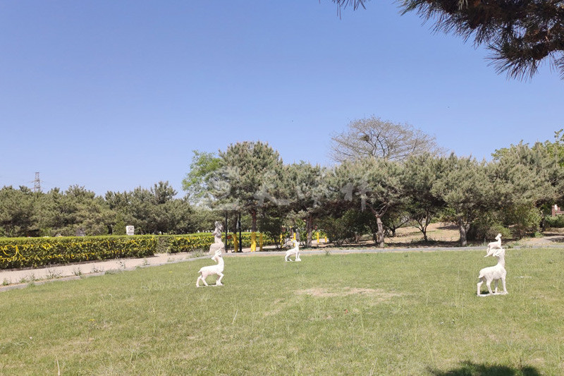 八达岭人民公墓绿化景观