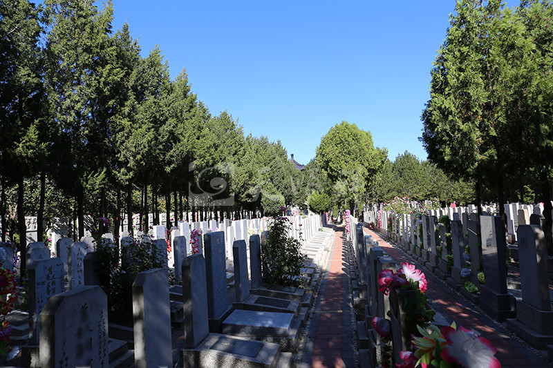 八宝山人民公墓墓区景观