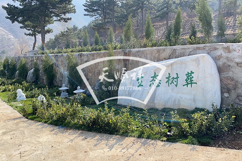 永宁陵园生态树葬区