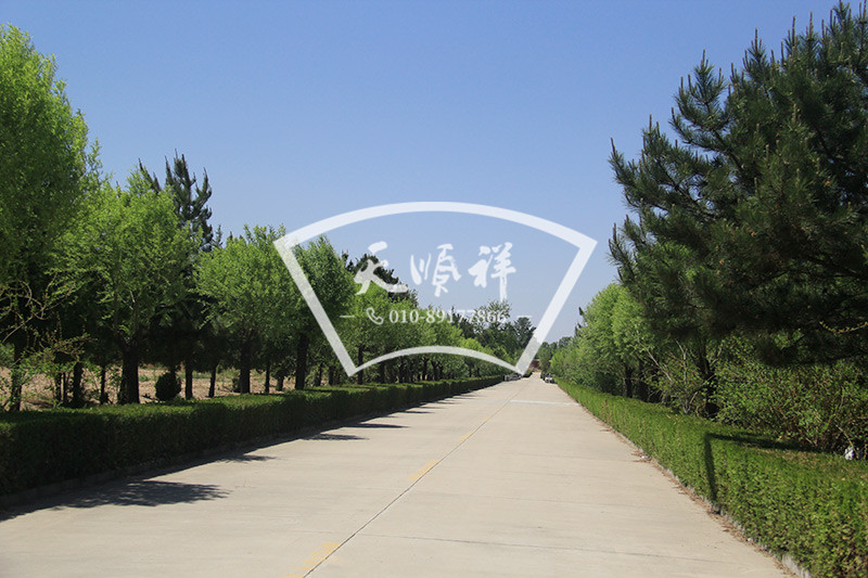 中华永久陵园道路景观