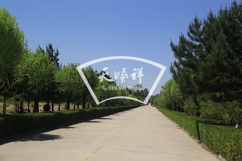 中华永久陵园道路景观