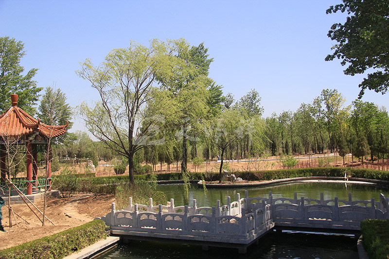 官厅中华永久陵园水系景观