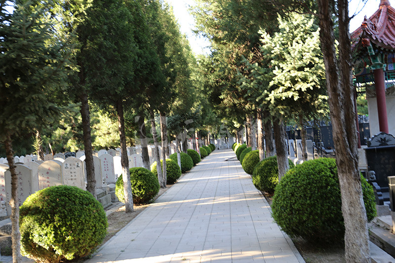 通惠陵园墓区景观