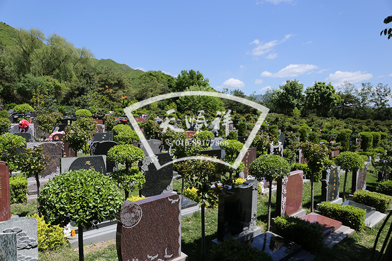天寿陵园墓区环境