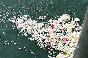 天顺祥骨灰海撒实录