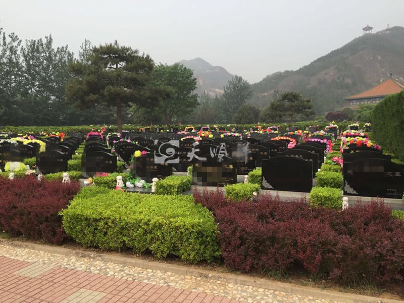 天寿陵园礼士区墓区景观