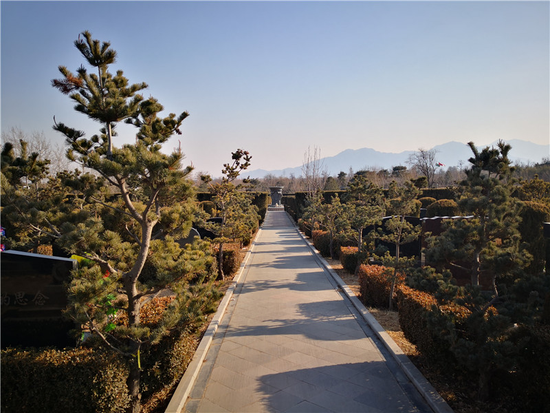 天寿陵园墓区
