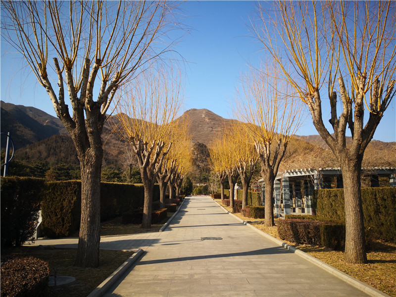 陵园初春景观