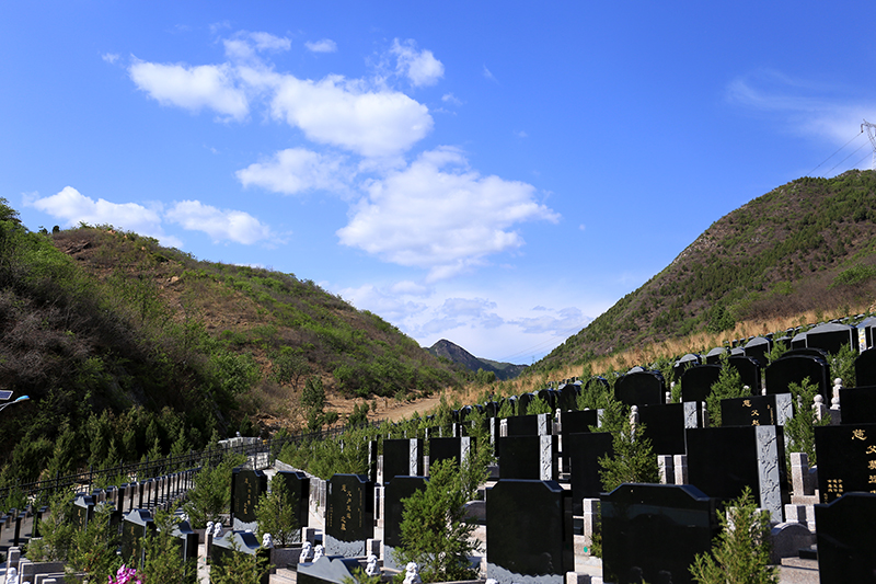 凤凰园墓区景观