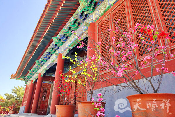 建筑景观实拍