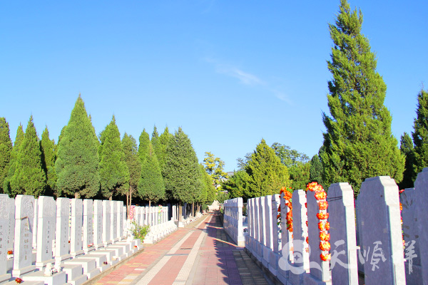 墓区实拍