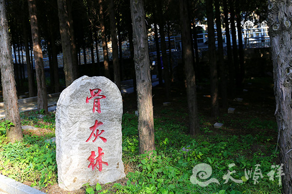 骨灰林标识