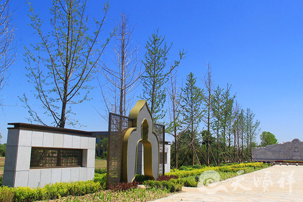 绿化景观