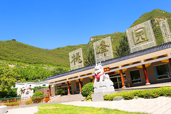 业务厅标识
