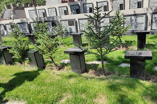 北京哪里有树葬的地方？树葬北京哪家比较好？北京树葬价格多少钱？