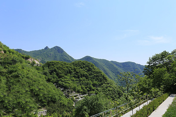 九公山陵园购墓服务热线是多少？陵园有免费看墓（选墓）班车吗？