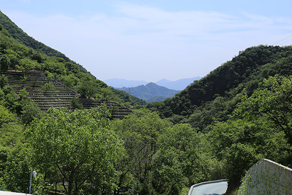 九公山长城纪念林有哪些墓区呢？哪个墓区性价比最高？