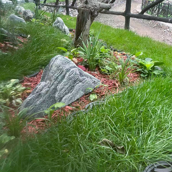 福泽园单穴树葬