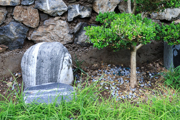 李女士为何为已故丈夫选择九公山长城纪念林树葬？