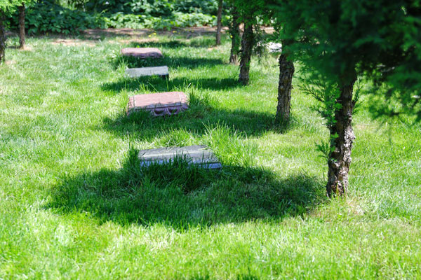 陈先生：选灵山宝塔陵园树葬，在静谧中安放思念