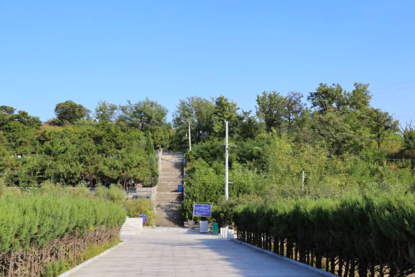 密云区墓地宝云岭墓园指南：价格明细与交通路线