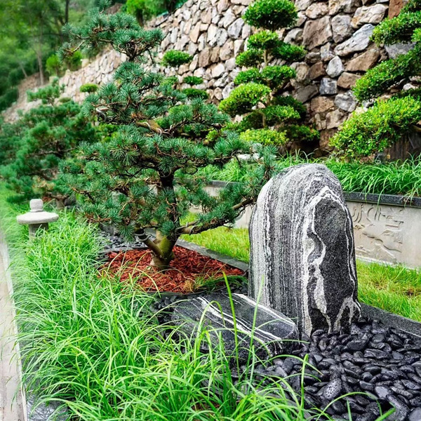 福泽园树葬林隐