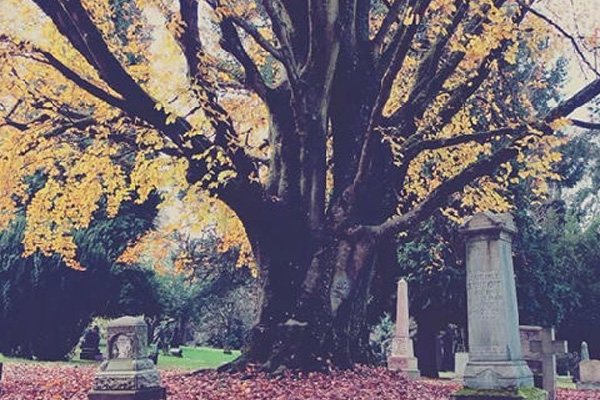 除了金字塔，世界上还有这些美到窒息的墓地