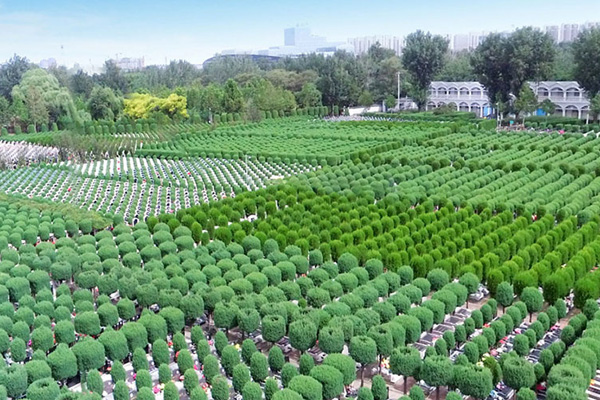 北京周边墓地廊坊万桐园怎么样？交通路线怎么走