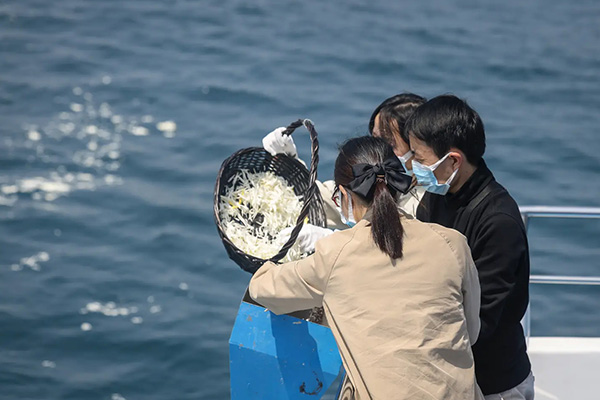 骨灰海撒好不好？骨灰海撒会不会造成海水污染