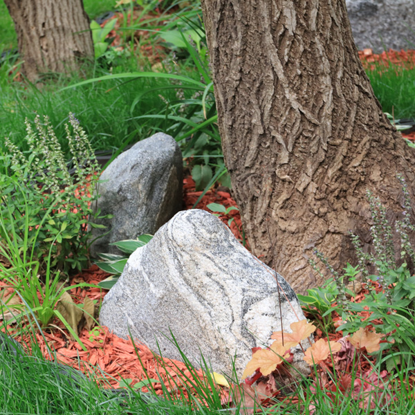 福泽园单穴生态树葬